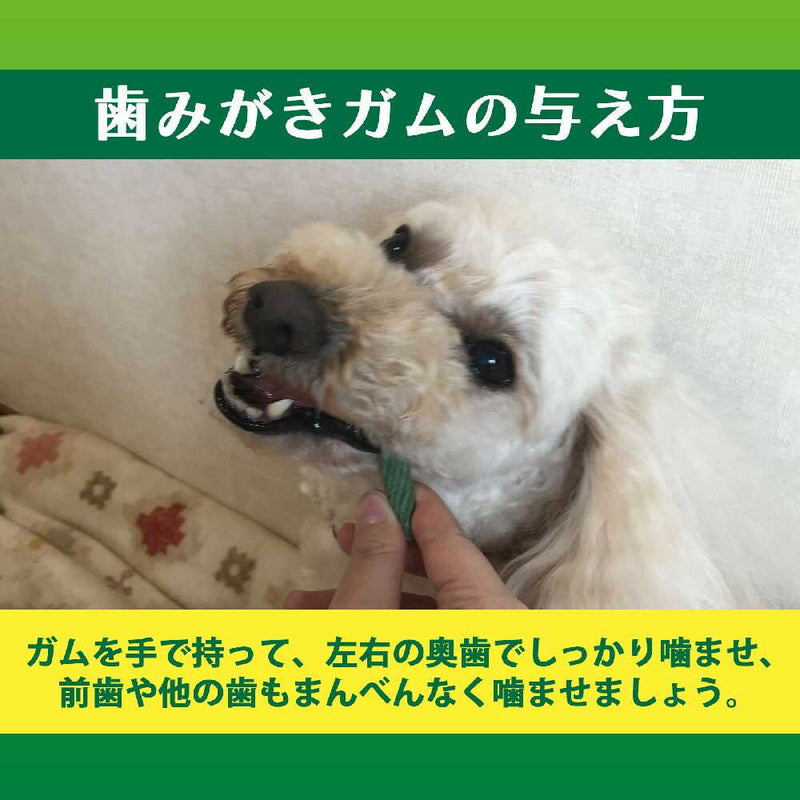 ライオン ペットキッス 食後の歯みがきガム 超やわらかタイプ 超小型犬〜小型犬用