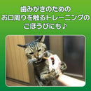 PETKISS 猫ちゃんの歯みがきおやつ まぐろ味 スティック 7本