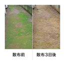 レインボー薬品 コケトールしっかり原液 200ml