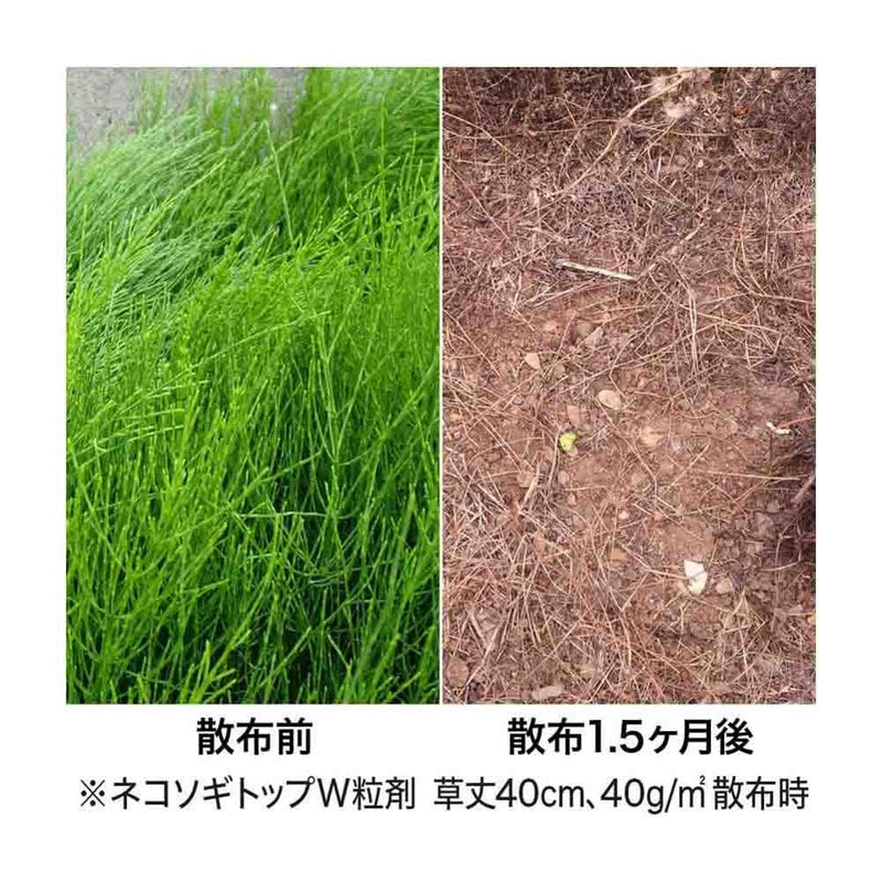 （農）レインボー薬品 ネコソギトップW粒剤 800g