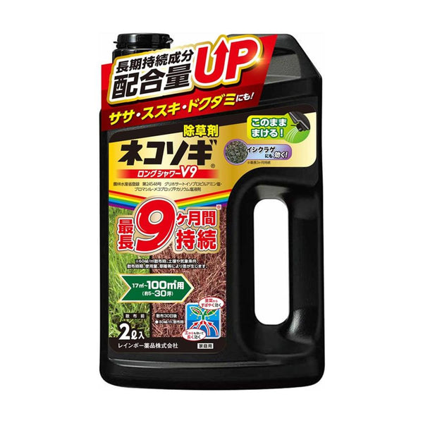 ネコソギ セット 1-7365-01 イージーフラスコ 25cm2（ツーポジションキャップ）1