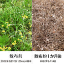 （農）レインボー薬品 ネコソギシャワーAL V6 エコパック 2L