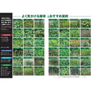 （農）レインボー薬品 ネコソギシャワーAL V6 エコパック 2L