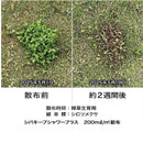 【農薬】レインボー薬品 シバキープ シャワープラス 800ml