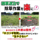 【農薬】レインボー薬品 ネコソギブロックV 粒剤 600g