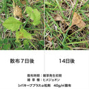 【農薬】レインボー薬品 シバキープ プラスα 1.1kg