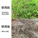 レインボー薬品 こっぱみじんW粒剤 3kg