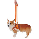 老犬介護用 歩行補助ハーネス 前足用K L メーカー直送▼返品・キャンセル不可【他商品との同時購入不可】