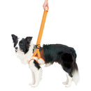 老犬介護用 歩行補助ハーネス 前足用K 2L メーカー直送▼返品・キャンセル不可【他商品との同時購入不可】