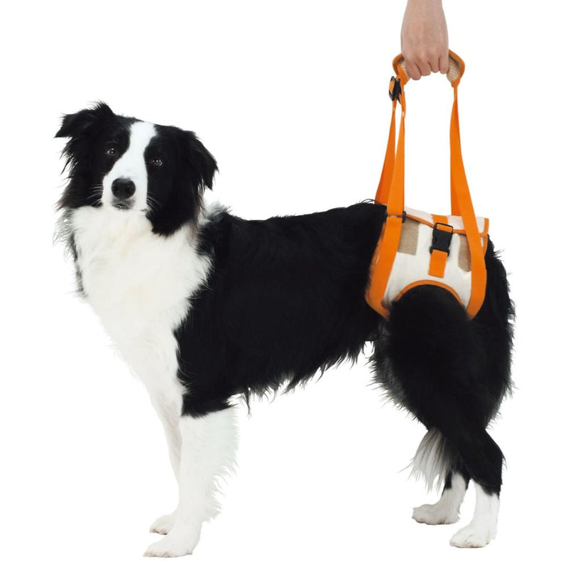 老犬介護用 歩行補助ハーネス 後足用K 2L メーカー直送▼返品・キャンセル不可【他商品との同時購入不可】