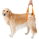 老犬介護用 歩行補助ハーネス 後足用K 3L メーカー直送▼返品・キャンセル不可【他商品との同時購入不可】