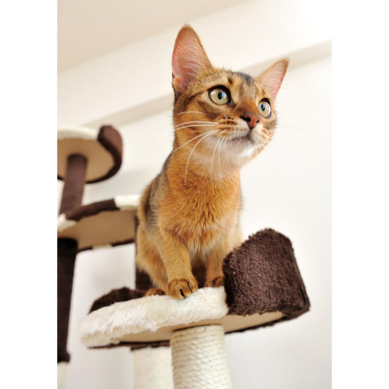 猫のおあそびポール お魚ファミリー ハイタイプ メーカー直送▼返品・キャンセル不可【他商品との同時購入不可】