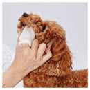 ペティオ 歯みがき用 シートでふきとる デンタルティッシュ 30枚