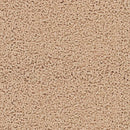 ガッチリ固まる木の猫砂  6L