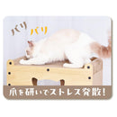 猫用おもちゃ くつろげる ねこまどつめみがきハウス メーカー直送▼返品・キャンセル不可【他商品との同時購入不可】