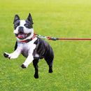 Porta トレーニングロングリード 15m メーカー直送▼返品・キャンセル不可【他商品との同時購入不可】