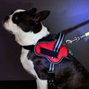 犬用胴輪 EthicalDoor イージーウェアハーネス S メーカー直送▼返品・キャンセル不可【他商品との同時購入不可】