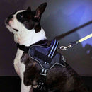 犬用胴輪 EthicalDoor イージーウェアハーネス S メーカー直送▼返品・キャンセル不可【他商品との同時購入不可】