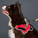 犬用胴輪 EthicalDoor イージーウェアハーネス M メーカー直送▼返品・キャンセル不可【他商品との同時購入不可】