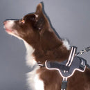 犬用胴輪 EthicalDoor イージーウェアハーネス M メーカー直送▼返品・キャンセル不可【他商品との同時購入不可】