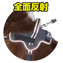 犬用胴輪 EthicalDoor イージーウェアハーネス M メーカー直送▼返品・キャンセル不可【他商品との同時購入不可】