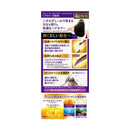 【医薬部外品】サロンドプロ 泡のヘアカラー・エクストラリッチ（白髪用）4G グレージュ 1剤50g・2剤50g