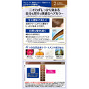 [Quasi-drug] Dariya Salon de Pro Early Dyeing Cream 2 (brighter light brown)