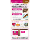 【医薬部外品】サロンドプロ 無香料ヘアカラー 早染め乳液（白髪用）1＜かなり明るいライトブラウン＞1剤50g・2剤50ml・アフターヘアパック15g