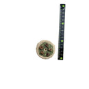 ペットライブラリー 誕生日ケーキ １個