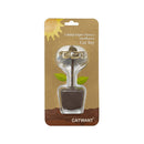 キャットニップひまわり １個