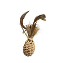 キャットニップペーパーパイナップル １個