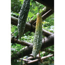 101748 グリーンカーテン用プランター 550 GCP550 メーカー直送 ▼返品・キャンセル不可【他商品との同時購入不可】