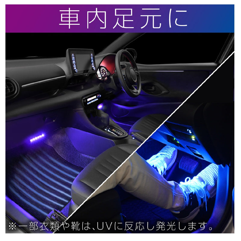 Seiwa USB 黑光 LED 照明 2 F342