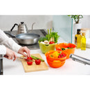 イノマタ化学 コッポザル&ボール 6個セット 17cm