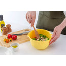 イノマタ化学 コッポザル&ボール 6個セット 17cm