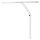 学習机 LEDライト エコレディ アームライト ECL-611 メーカー直送 ▼返品・キャンセル不可【他商品との同時購入不可】