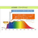 学習机 LEDデスクライト 自然光 目に優しい ECL-112 メーカー直送 ▼返品・キャンセル不可【他商品との同時購入不可】