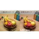 学習机 LEDデスクライト 自然光 目に優しい ECL-112 メーカー直送 ▼返品・キャンセル不可【他商品との同時購入不可】