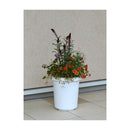 アップルウェアー 長鉢F型 ホワイト