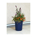 アップルウェアー 長鉢F型 ブルー