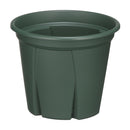 アップルウェアー 根っこつよし 5号 グリーン