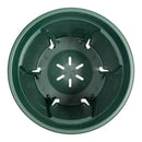 アップルウェアー 根っこつよし 5号 グリーン