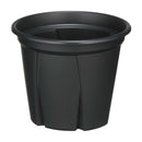 アップルウェアー 根っこつよし 6号 ブラック