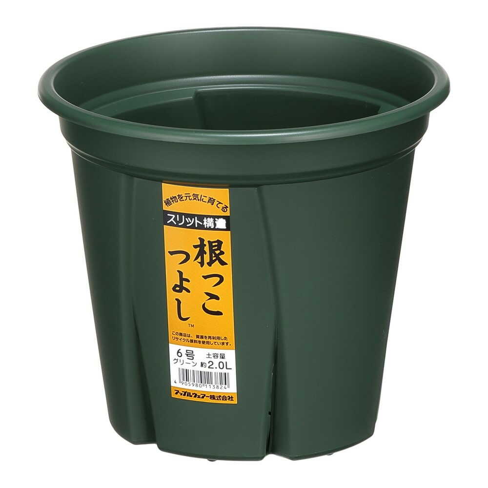 アップルウェアー 根っこつよし 6号 グリーン
