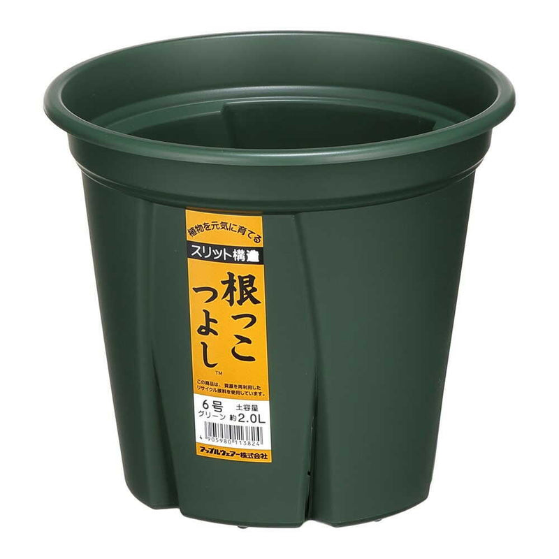 アップルウェアー 根っこつよし 6号 グリーン