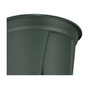 アップルウェアー 根っこつよし 6号 グリーン