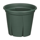 アップルウェアー 根っこつよし 6号 グリーン