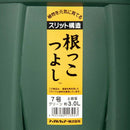 アップルウェアー 根っこつよし 7号 グリーン