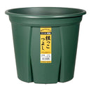 アップルウェアー 根っこつよし 8号 グリーン