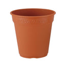 アップルウェアー ロゼアポット ブラウン